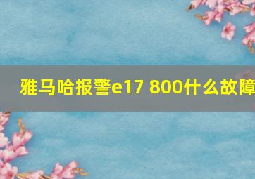 雅马哈报警e17 800什么故障